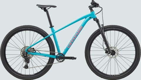 CANNONDALE Trail 2